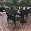 Flash Furniture Ethan All Weather Modern Rattan Patio Chairs in Black