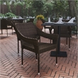 Flash Furniture Ethan All Weather Modern Rattan Patio Chairs in Espresso