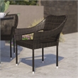 Flash Furniture Ethan All Weather Modern Rattan Patio Chairs in Espresso