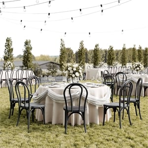 Indoor/Outdoor Commercial Grade Wood Look Resin Thonet Style Chair in Black