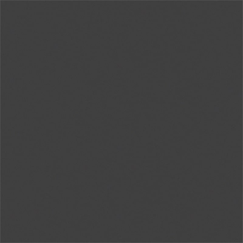 Flash Furniture 2-pack Black Resin X-Back Chair