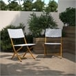 2PC Navy and White Indoor/Outdoor PE Rattan Folding Bistro Chairs