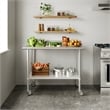 Commercial Stainless Steel Work Table with 4