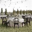 Thonet Solid Wood Stackable Dining Chair with Fixed Floor Glides in EA.