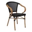 All-Weather Commercial Paris Chair with Arms and Natural Metal Frame-Black