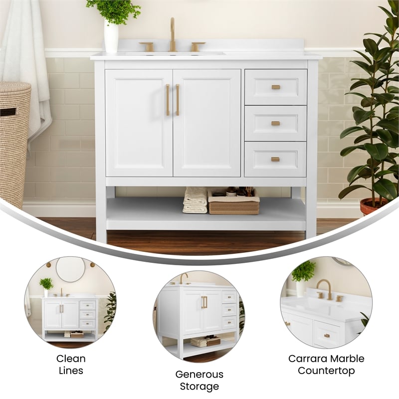 42 Inch Bathroom Vanity with Sink Open Storage and Storage Drawers in Wht/Gold