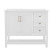 42 Inch Bathroom Vanity with Sink Open Storage and Storage Drawers in Wht/Gold