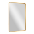 Large Rectangular Accent Mirror with 2 Inch Deep Iron Frame in Gold - 48