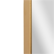Large Rectangular Accent Mirror with 2 Inch Deep Iron Frame in Gold - 48