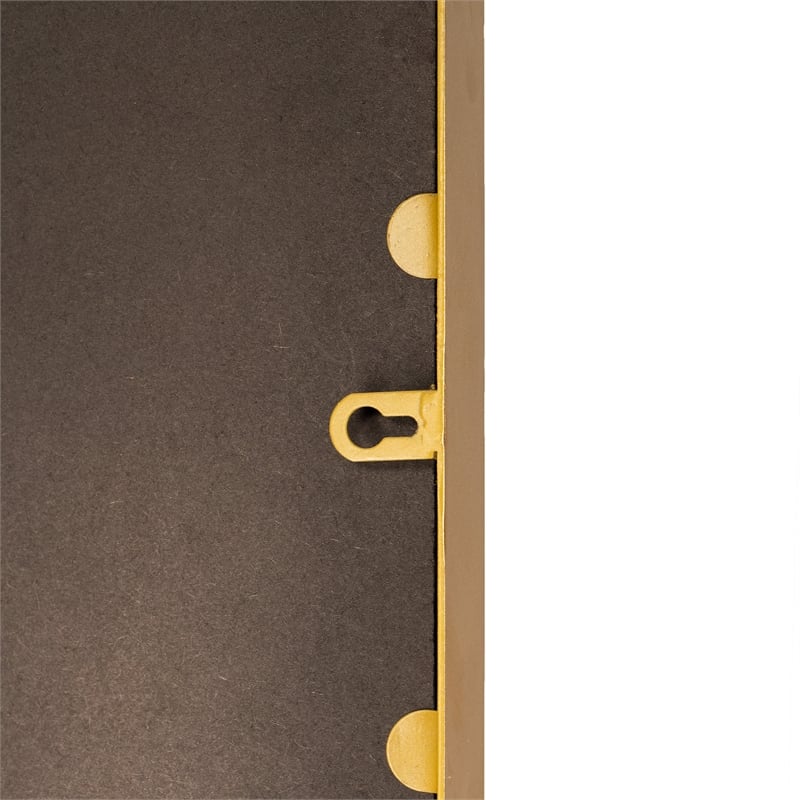 Large Rectangular Accent Mirror with 2 Inch Deep Iron Frame in Gold - 48