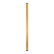 Large Rectangular Accent Mirror with 2 Inch Deep Iron Frame in Gold - 48