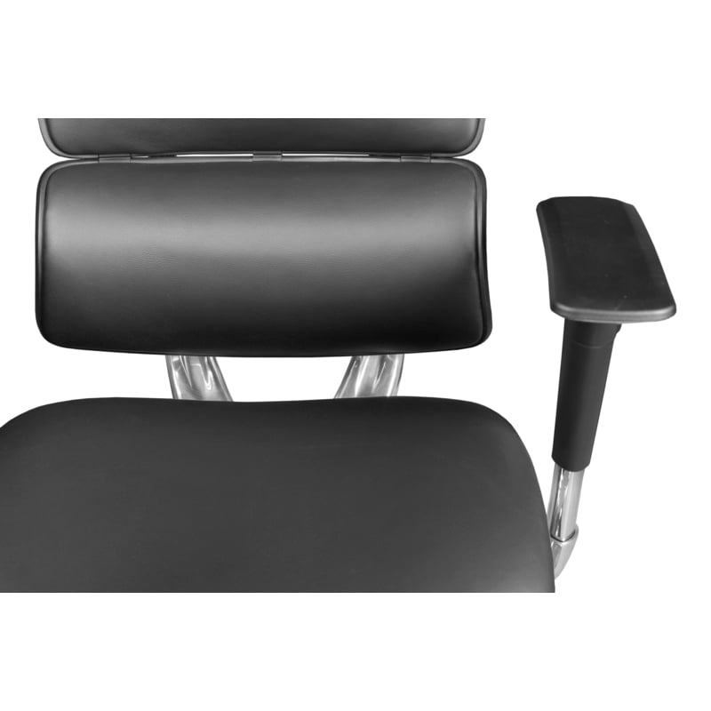 Omega Ergonomic Leather Executive Office Chair with Headrest/Adjustable Lumbar Support - Black