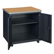 Regency Mesa Steel Mobile Locking 2-Door Storage Cabinet 30