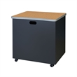 Regency Mesa Steel Mobile Locking 2-Door Storage Cabinet 30