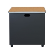 Regency Mesa Steel Mobile Locking 2-Door Storage Cabinet 30