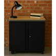 Regency Mesa Steel Mobile Locking 2-Door Cabinet 30