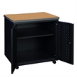 Regency Mesa Steel Mobile Locking 2-Door Cabinet 30