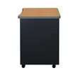 Regency Mesa Steel Mobile Locking 2-Door Cabinet 30