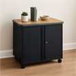 Regency Mesa Steel Mobile Locking 2-Door Cabinet 30