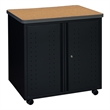 Regency Mesa Steel Mobile Locking 2-Door Cabinet 30