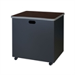 Regency Mesa Steel Mobile Locking 2-Door Storage Cabinet 30