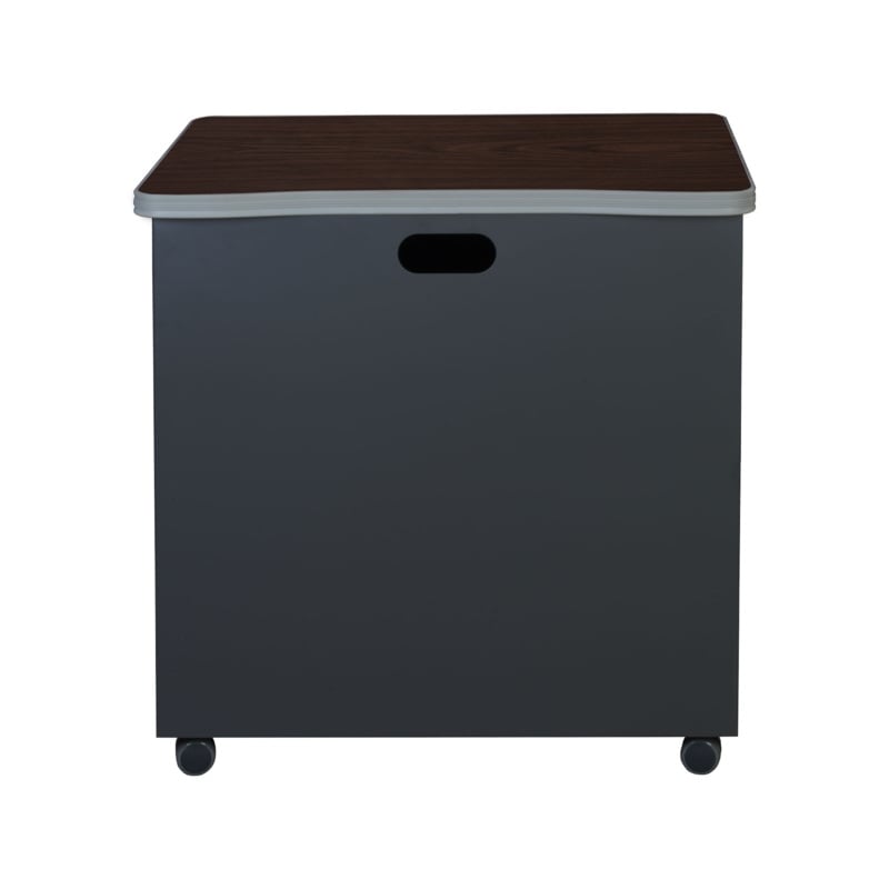 Regency Mesa Steel Mobile Locking 2-Door Storage Cabinet 30