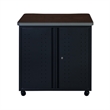 Regency Mesa Steel Mobile Locking 2-Door Cabinet 30