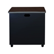Regency Mesa Steel Mobile Locking 2-Door Cabinet 30