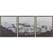 Renwil Manford 3 Piece Wall Panel Set in Multi-Color