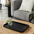 Hudson Indoor Mango Wood Tray Black