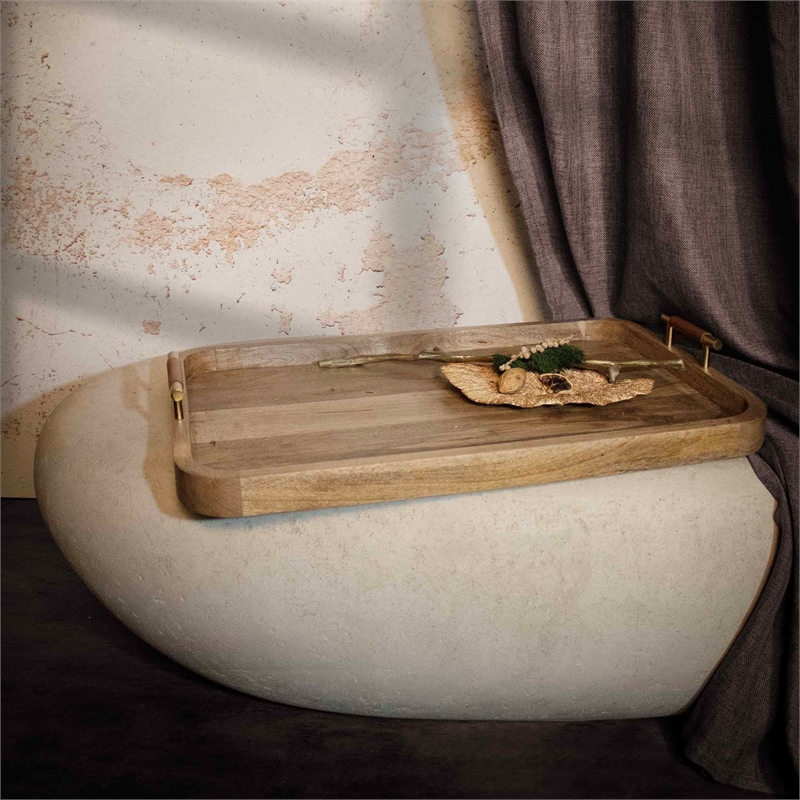 Mango Indoor Mango Wood Tray Natural Brown