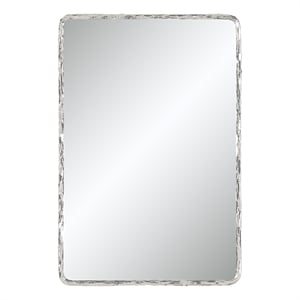 Pollonia 36&quot H x 24&quot W Wall Mirror Gray