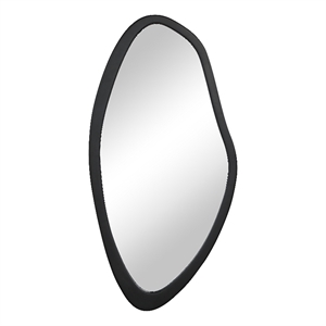 Trani 40&quot H x 19.75&quot W Wall Mirror Black