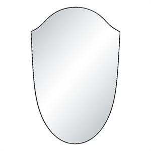 Ryker 40&quot H x 26&quot W Wall Mirror Black