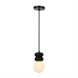 Solene 118