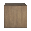 Jaime Indoor Mango Wood Side Table