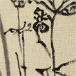 Karolina 15