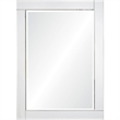 Renwil Adan Polished Rectangular Polished Mirror