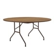 Correll CF Series 29x60