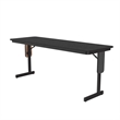 Correll SP 24x60 Contemporary Metal/Wood Folding Seminar Table in Black Granite
