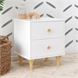 Namesake Lolly 2-Drawer Modern Wood Nightstand in White and Natural