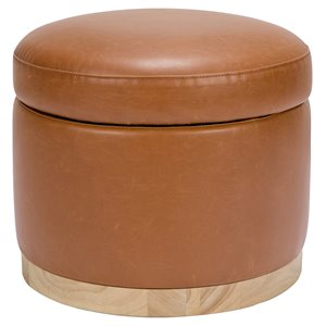 Namesake Naka Modern Leather Storage Ottoman in Tan