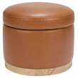 Namesake Naka Modern Leather Storage Ottoman in Tan