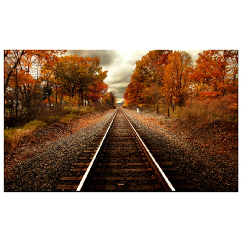 Yosemite Home Decor 'Autumn Rails' Glass Photographic Print in Multi-Color