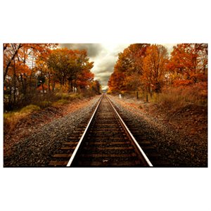 Yosemite Home Decor 'Autumn Rails' Glass Photographic Print in Multi-Color