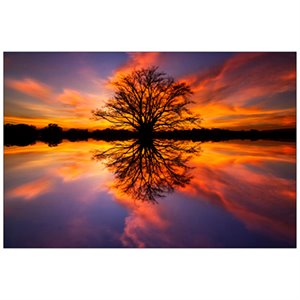 Yosemite Balance Glass Photographic Print