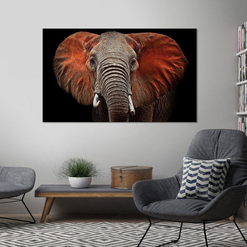 Yosemite Loxodonta Glass Photographic Print