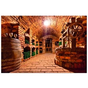 Yosemite Home Decor Vintage Press Glass Multi-Color Photographic Print