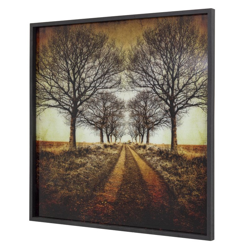 Yosemite Home Decor 'Distance' Tempered Glass/Wood Photo in Multi-Color