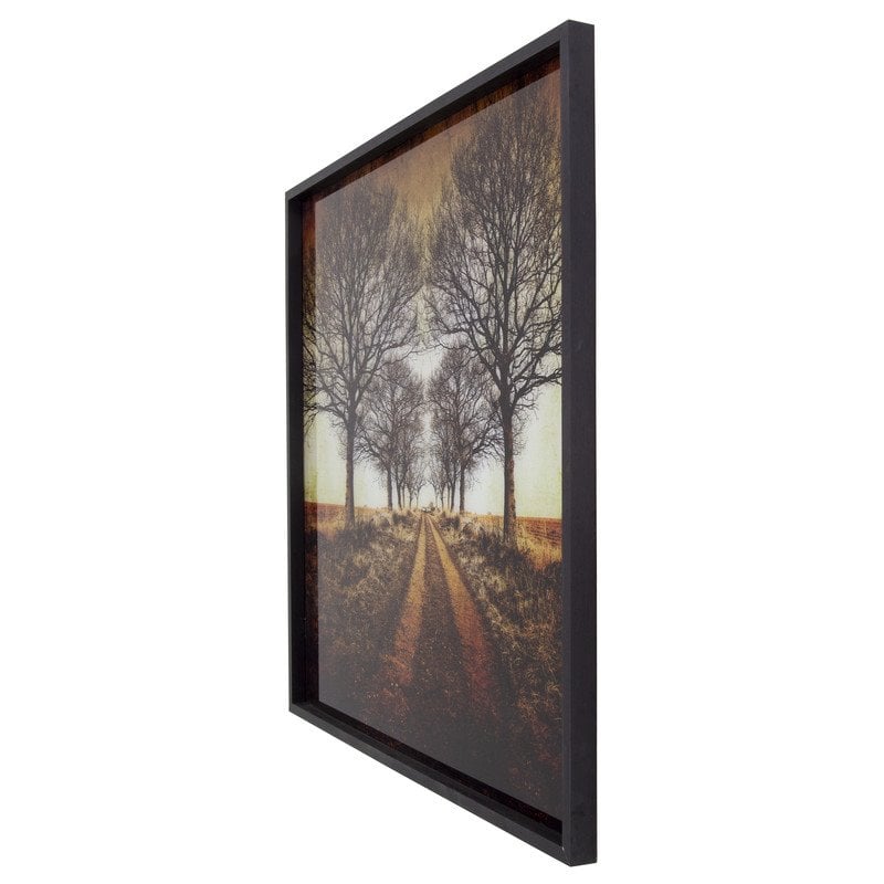 Yosemite Home Decor 'Distance' Tempered Glass/Wood Photo in Multi-Color